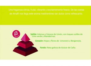 aroma-casa-limoncello-boles-dolor-originalhouse