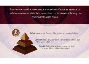 cedro-mikado-difusor-aromas-bolesdolor-piramide-olfativa