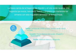 cotonet-piramide-olfativa-bolesdolor