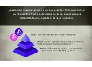 flor-vainilla-mikado-difusor-aromas-boles-dolor-piramide-olfativa