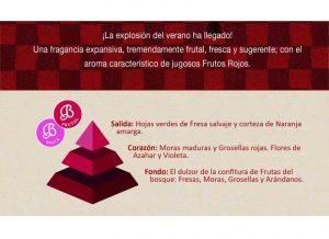 frutos-rojos-piramide-olfativa-bolesdolor