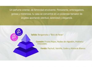 piramide-olfativa-angels-charm-boles-dolor