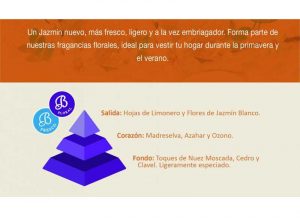 piramide-olfativa-jazmin-blanco-bolesdolor