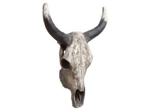 cabeza-decoracion-bufalo-calavera