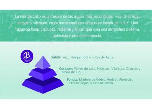 esencia-flor-loto-bruma-ambientador-boles-dolor-piramide
