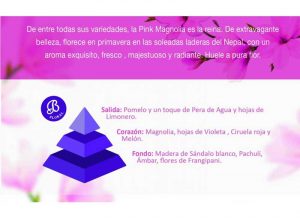 bruma-esencia-pink-magnolia-bolesdolor-piramide-olfativa
