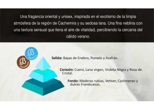 cashmere-piramide-olfativa