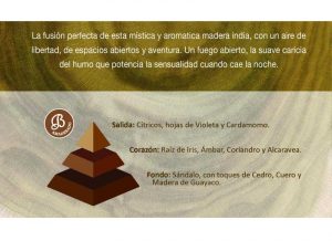 santal-piramide-olfativa-bolesdolor