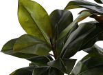 planta-artificial-alta-magnolio-detalle