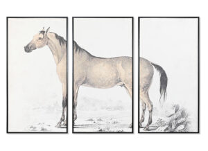 cuadro-grande-lienzo-enmarcado-caballo