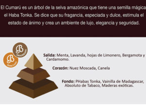 cumaru-piramide-olfativa
