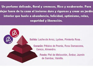 ricemilk-peonia-piramide-olfativa