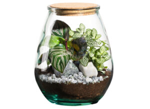 terrario-vegetal-decorativo-tienda-madrid