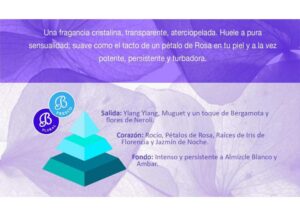 whitemusk-mikado-piramide