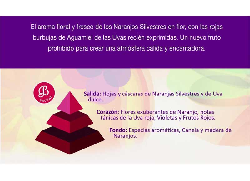 piramide-olfativa-entreuvasynaranjos