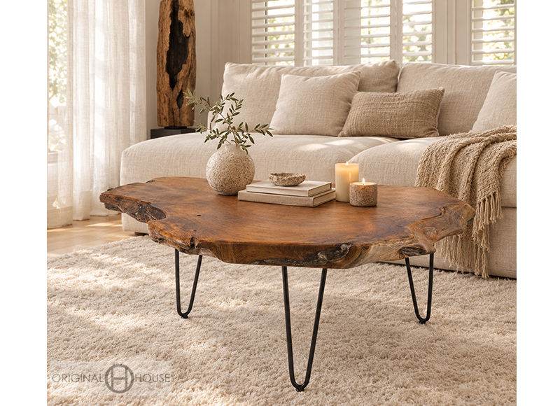 mesa-centro-madera-forma-natural-salon